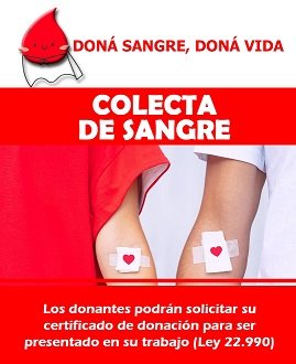 Imagen Noticia