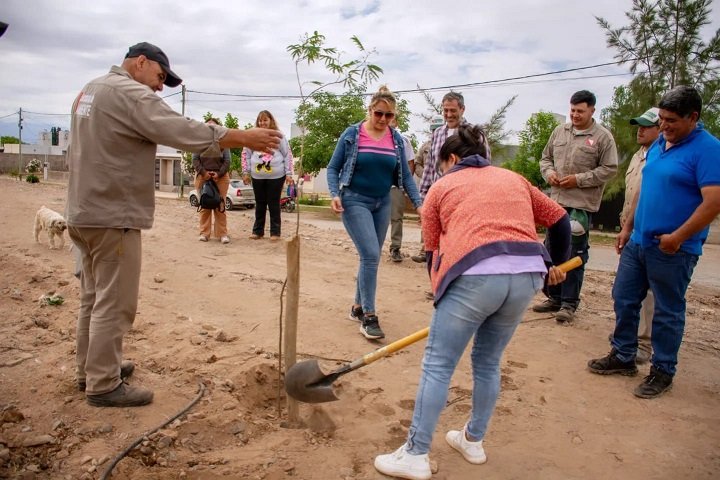 Imagen Noticia
